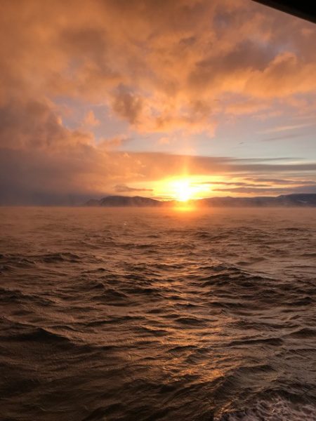 シーランチ 釣果