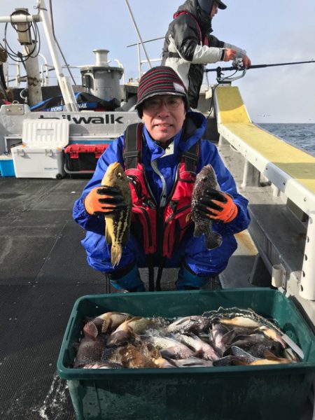 シーランチ 釣果