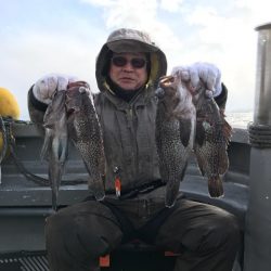 シーランチ 釣果