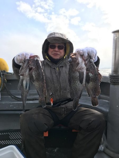 シーランチ 釣果