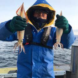 シーランチ 釣果