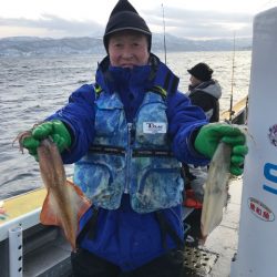 シーランチ 釣果