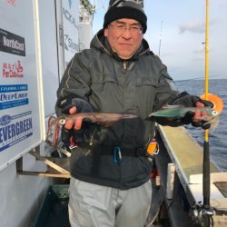 シーランチ 釣果