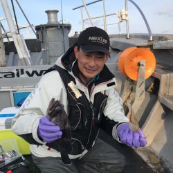 シーランチ 釣果