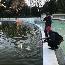 としまえんフィッシングエリア 釣果