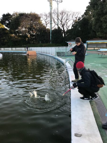 としまえんフィッシングエリア 釣果