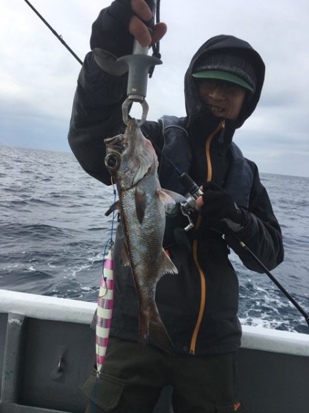 ＴＡＲＯＭＡＲＵ 釣果