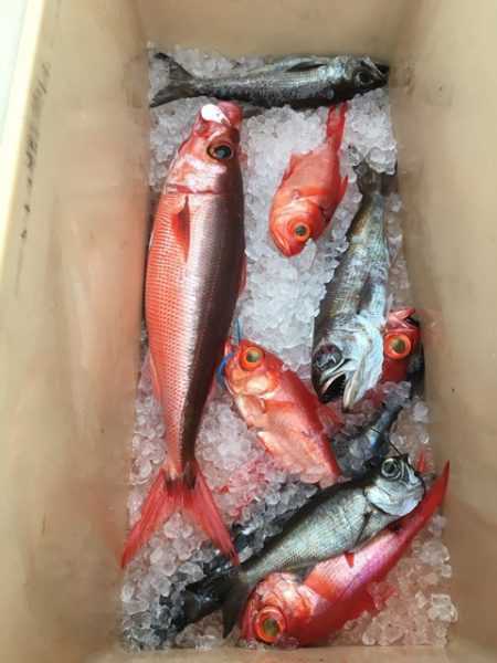 ＴＡＲＯＭＡＲＵ 釣果