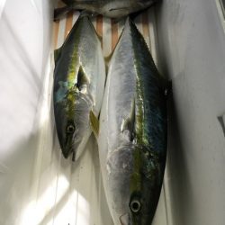 第二八坂丸 釣果