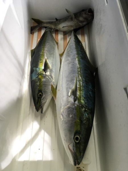 第二八坂丸 釣果