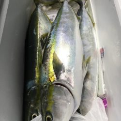 第二八坂丸 釣果