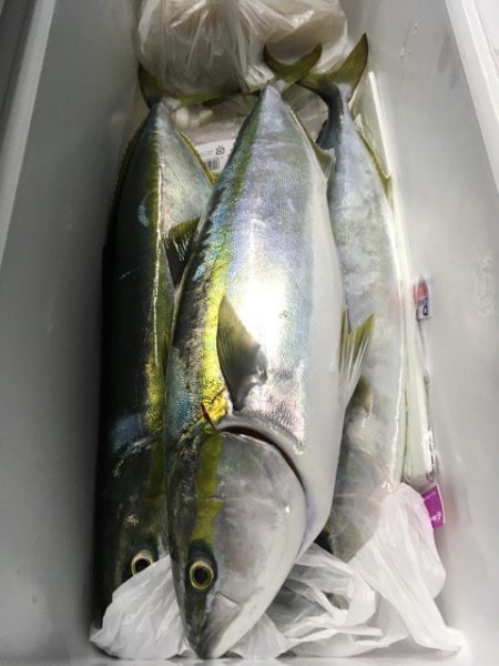 第二八坂丸 釣果