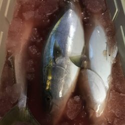 第二八坂丸 釣果