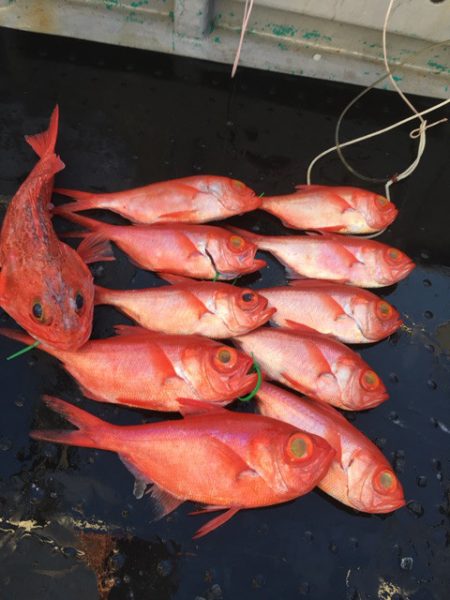 ＴＡＲＯＭＡＲＵ 釣果