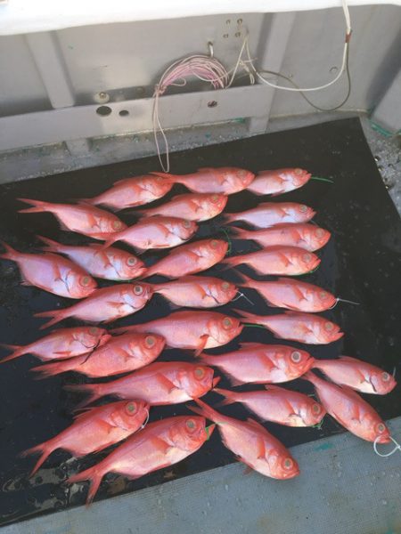 ＴＡＲＯＭＡＲＵ 釣果