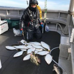 シーランチ 釣果