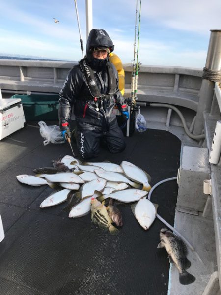 シーランチ 釣果