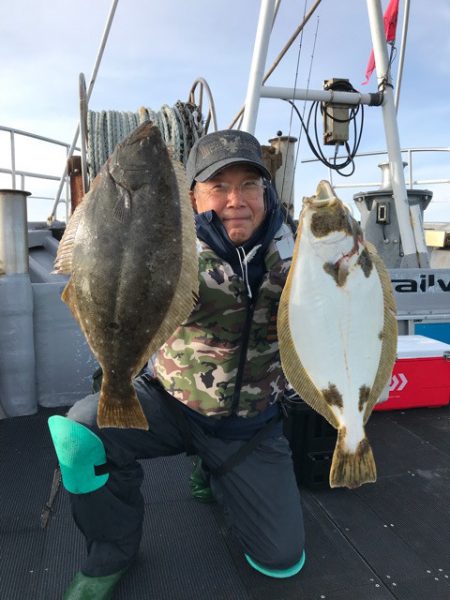 シーランチ 釣果