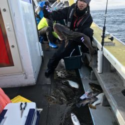 シーランチ 釣果