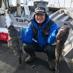 シーランチ 釣果