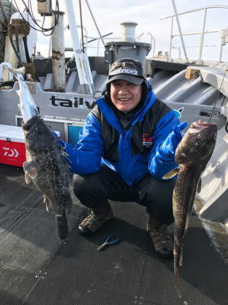 シーランチ 釣果