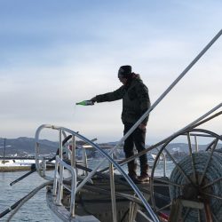 シーランチ 釣果