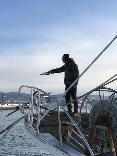 シーランチ 釣果