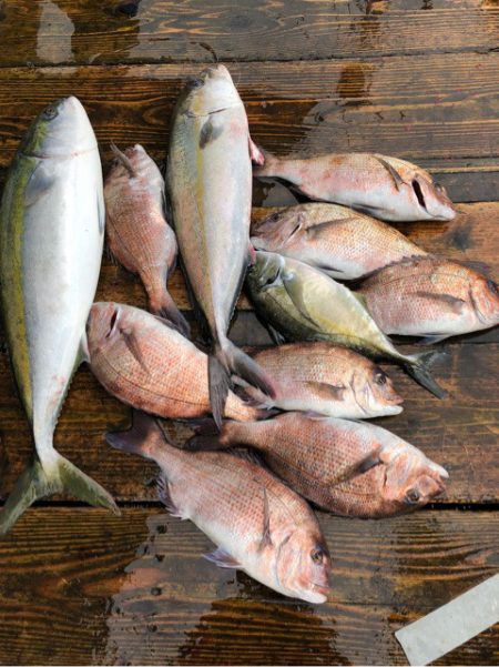 釣り堀水宝 釣果