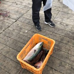 釣り堀水宝 釣果