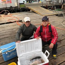 釣り堀水宝 釣果