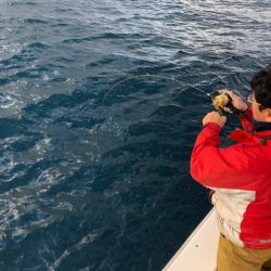 あみや渡船 JIGBOY 釣果