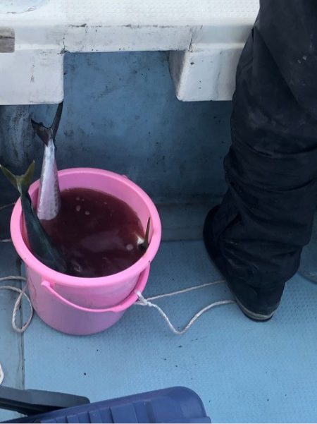 あみや渡船 JIGBOY 釣果