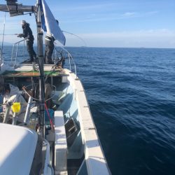 あみや渡船 JIGBOY 釣果