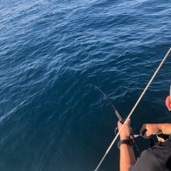 あみや渡船 JIGBOY 釣果