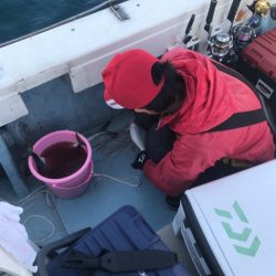 あみや渡船 JIGBOY 釣果