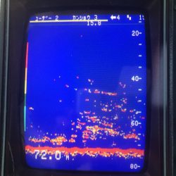 あみや渡船 JIGBOY 釣果