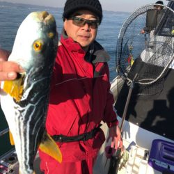 遊漁船メテオ 釣果