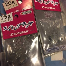 「LaGooN」蒼陽丸 日和号　 釣果