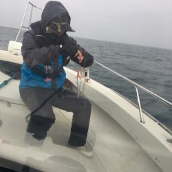 末広丸(熊本) 釣果