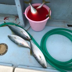 あみや渡船 JIGBOY 釣果