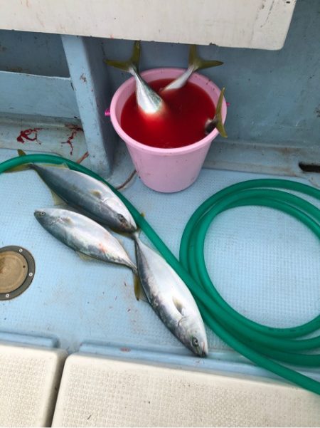 あみや渡船 JIGBOY 釣果