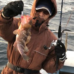 あみや渡船 JIGBOY 釣果