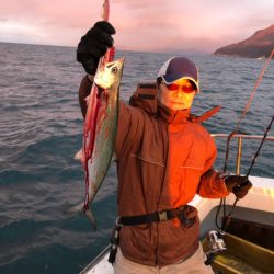 あみや渡船 JIGBOY 釣果