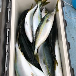 あみや渡船 JIGBOY 釣果