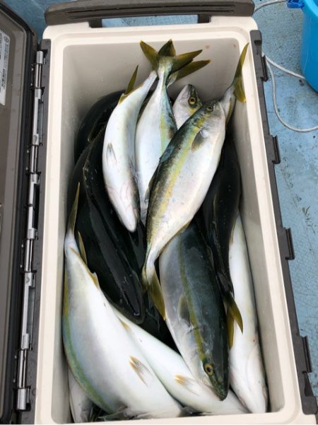 あみや渡船 JIGBOY 釣果