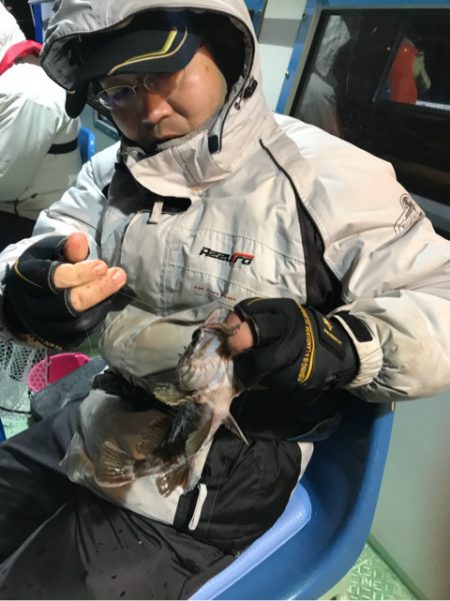 ヤザワ渡船 釣果