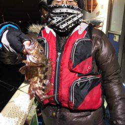 ヤザワ渡船 釣果