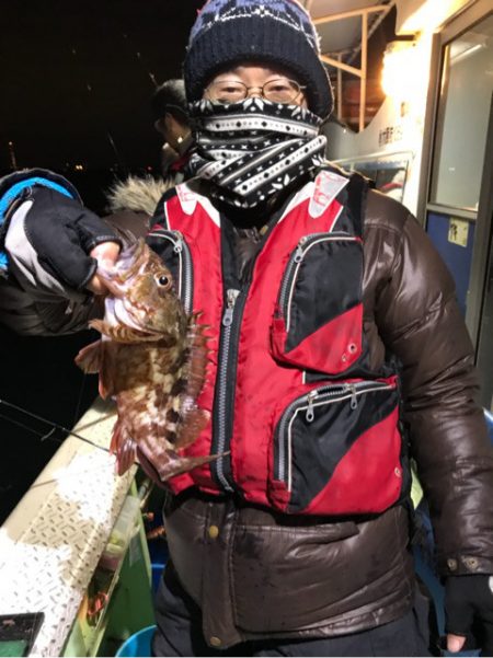 ヤザワ渡船 釣果