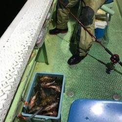 ヤザワ渡船 釣果