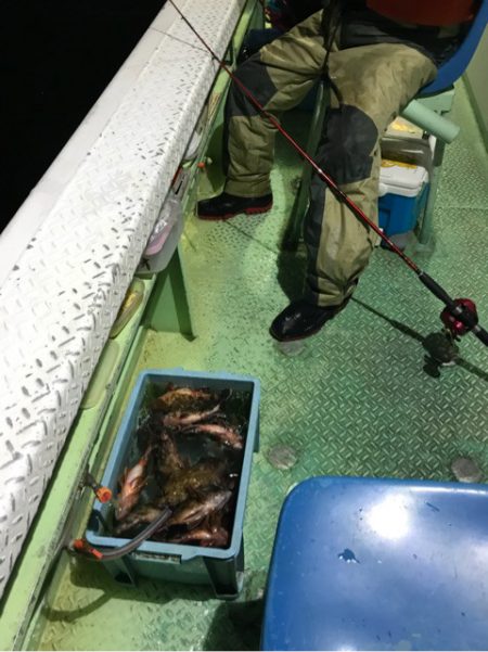 ヤザワ渡船 釣果